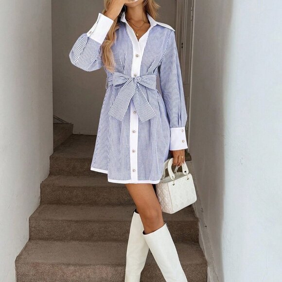 Blue And White Casual Women's Color Block Lantern Sleeve A-Line Dress - Picture 5 of 8